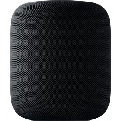 APPLE  HomePod [1&egrave;re g&eacute;n&eacute;ration] gris sid&eacute;ral
