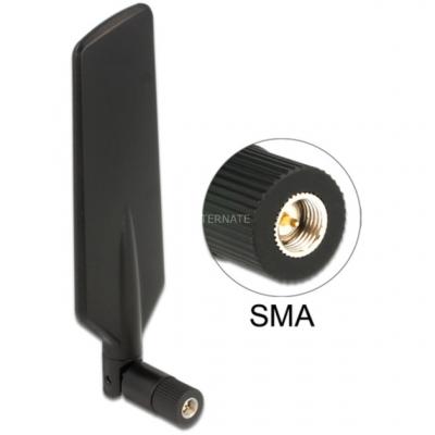 GENERIQUE Delock dualband antenne 4043619124084