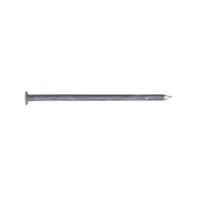 ECOLANDS  - Pointe acier t&ecirc;te plate l. x &oslash; (mm) 35 x 2 Contenance (kg) 1