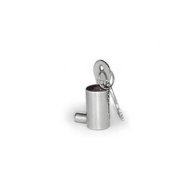 CAME  CMC001D001 Cylindre de serrure avec cl&eacute; DIN
