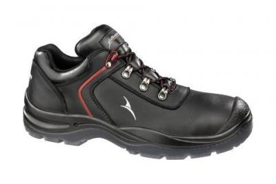 ALBATROS Ville basse  -