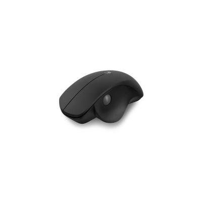 EWENT  EW3151 - Souris - ergonomique - 2 boutons - sans fil - 2.4 GHz - r&eacute;cepteur sans fil USB 