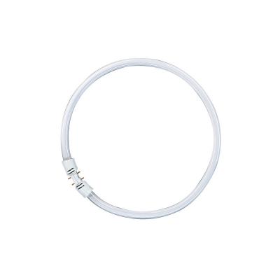 OSRAM Tube fluorescent  2GX13 40 W blanc neutre forme d'anneau 1 pc(s)
