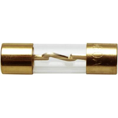 GENERIQUE Fusible Verre HiFi Auto 60 A Sinuslive SG 60-1 1 pc(s)