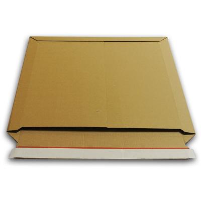  Enveloppe Carton Album Photo Format 400x400 Mm - Lot De 50