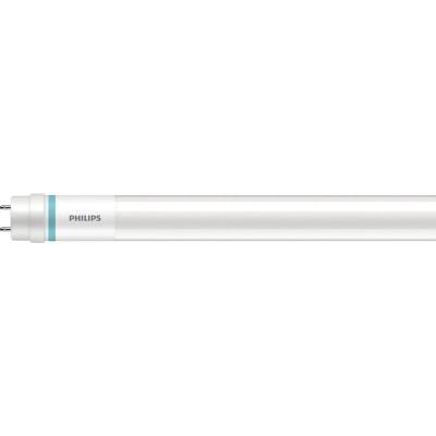 PHILIPS  LEDtube T8 MASTER Value (EM Mains) High Output 8W 1000lm - 830 | 60cm - Remplacement 18W