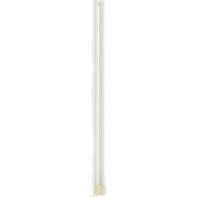 PHILIPS Ampoule Master Pl-L 2G11 4Broches 55 Watts Code Couleur 840