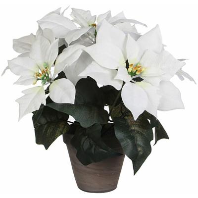Poinsettia Pot de Fleurs Blanc/Gris D13 5 cm x 30 x 33 cm