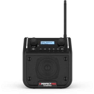 PERFECTPRO Radio De Chantier DABPro 4W - 