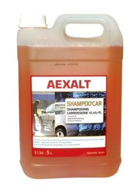 AEXALT Outifrance - Shampooing carrosserie antistatique 5L