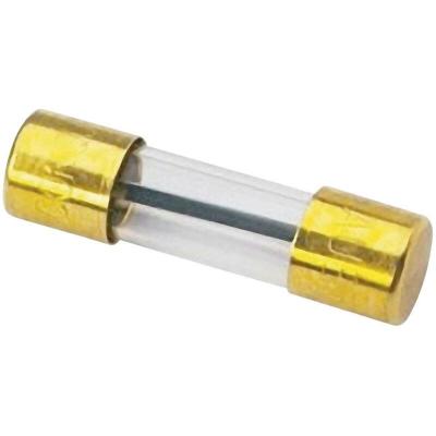 SINUSLIVE Fusible verre HiFi auto 100 A  SG-100-1 1 pc(s) 
