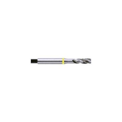 EXACT Taraud machine 35&deg; HSS-E &agrave; bague jaune M4  43562