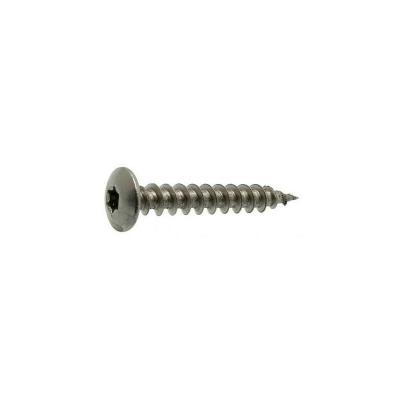 ACTON TOPCAR - 100 vis inox PENTURE TORX 7X50 - 623107X50