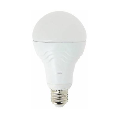 XANLITE Globe LED A60, cuLot E27, classique 