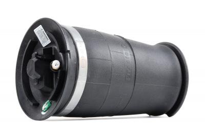 ARNOTT EUROPE Arnott Ressort pneumatique, ch&acirc;ssis BMW A-2755 37126765602,37126765603