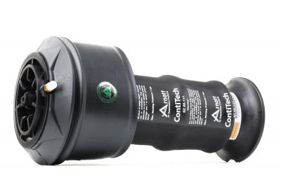 ARNOTT Divers compresseur pneumatique (suspensions)  A-2939 (X1)