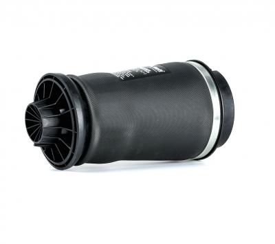 ARNOTT Divers compresseur pneumatique (suspensions)  A-2596 (X1)