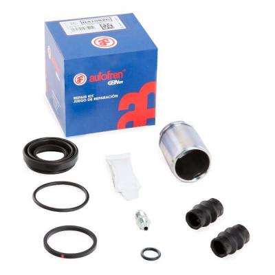 AUTOFREN SEINSA  Kit de r&eacute;paration (&eacute;trier de frein) D42248C