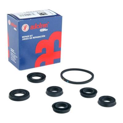AUTOFREN SEINSA Kit de r&eacute;paration, ma&icirc;tre-cylindre de frein  D1160