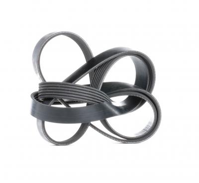 BOSCH Courroie trap&eacute;zo&iuml;dale &agrave; nervures  1 987 946 005