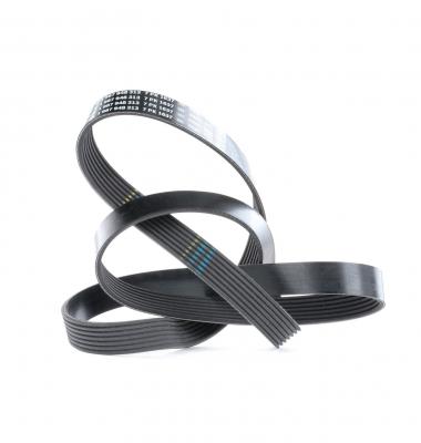 BOSCH Courroie trap&eacute;zo&iuml;dale &agrave; nervures  1 987 948 313