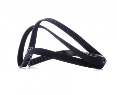 BOSCH Courroie trap&eacute;zo&iuml;dale &agrave; nervures  1 987 946 019