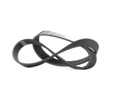 BOSCH Courroie trap&eacute;zo&iuml;dale &agrave; nervures  1 987 946 101