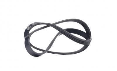 BOSCH Courroie trap&eacute;zo&iuml;dale &agrave; nervures  1 987 946 130