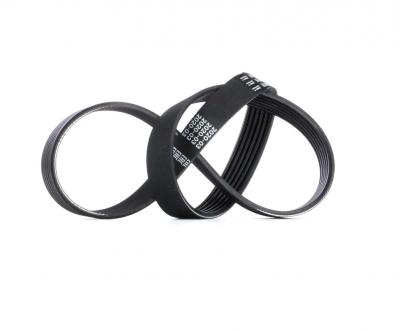 BOSCH Courroie trap&eacute;zo&iuml;dale &agrave; nervures  1 987 947 937