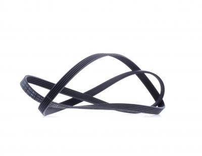 BOSCH Courroie trap&eacute;zo&iuml;dale &agrave; nervures  1 987 948 311