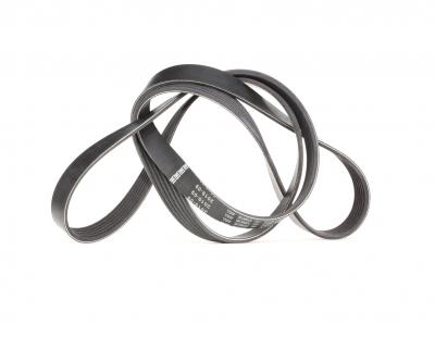 BOSCH Courroie trap&eacute;zo&iuml;dale a nervures  1 987 946 080