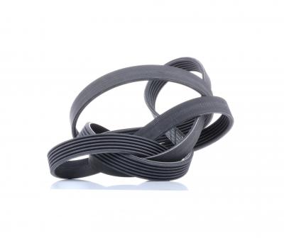 BOSCH Courroie trap&eacute;zo&iuml;dale &agrave; nervures  1 987 947 823