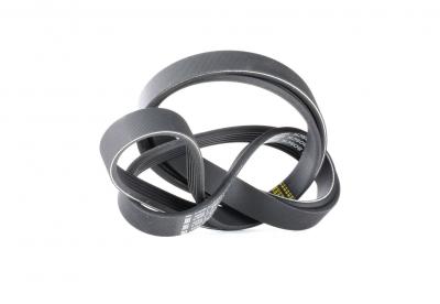 BOSCH Courroie trap&eacute;zo&iuml;dale &agrave; nervures  1 987 946 236