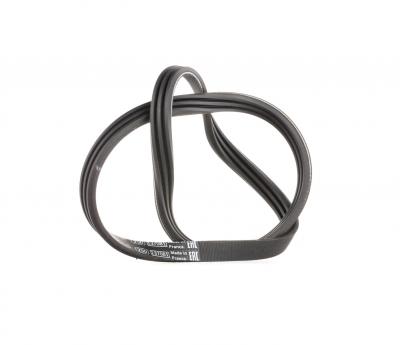 BOSCH Courroie trap&eacute;zo&iuml;dale &agrave; nervures  1 987 947 572