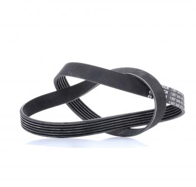 BOSCH Courroie trap&eacute;zo&iuml;dale &agrave; nervures  1 987 948 452