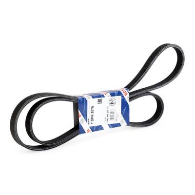 BOSCH Courroie trap&eacute;zo&iuml;dale &agrave; nervures  1 987 946 271