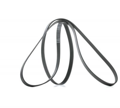 BOSCH Courroie trap&eacute;zo&iuml;dale a nervures  1 987 947 552