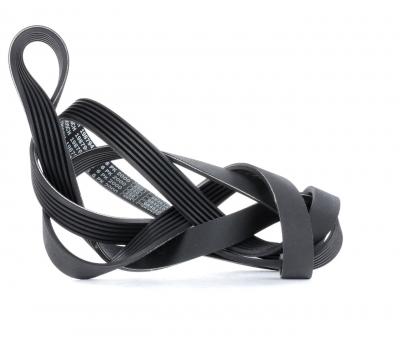 BOSCH Courroie trap&eacute;zo&iuml;dale &agrave; nervures  1 987 947 956