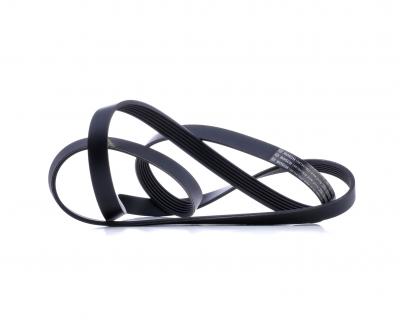 BOSCH Courroie trap&eacute;zo&iuml;dale &agrave; nervures  1 987 947 822