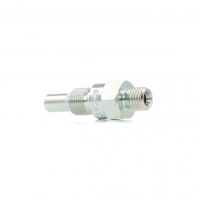 BOSCH Injecteur essence  0 437 004 002 (X1)