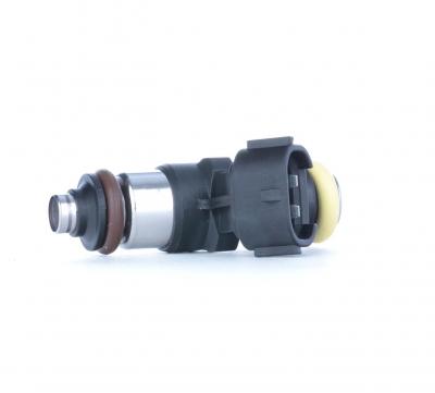 BOSCH Injecteur essence  0 280 158 862 (X1)