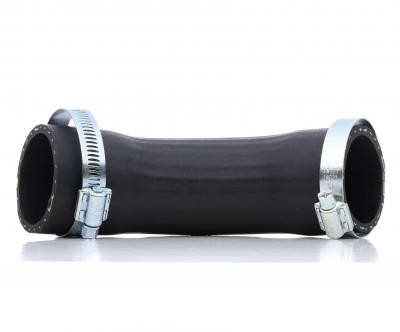 BUGIAD  Durite de turbocompresseur 84604