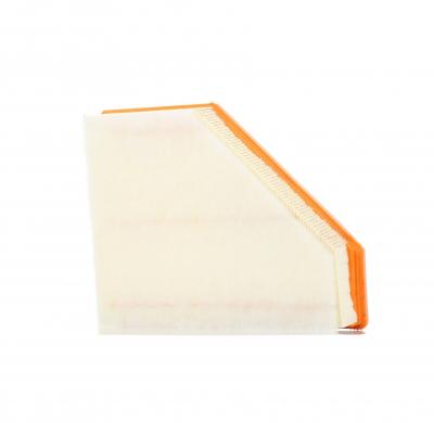 CHAMPION Filtre &agrave; air  (caf1&nbsp;00887p) Filtre, l'alimentation en air