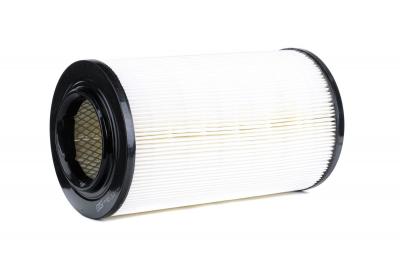 CHAMPION Filtre &agrave; air  (caf1&nbsp;00186r) Filtre, l'alimentation en air