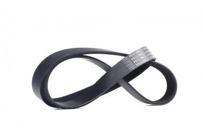 CONTITECH Continental  7PK1104 Courroie trap&eacute;zo&iuml;dale &agrave; nervures