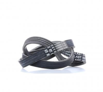 CONTITECH Continental  4PK922 ELAST Courroie trap&eacute;zo&iuml;dale &agrave; nervures