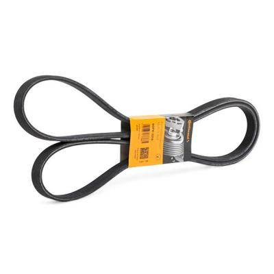 CONTITECH  Courroie d'accessoire 6DPK2215 MERCEDES-BENZ VITO