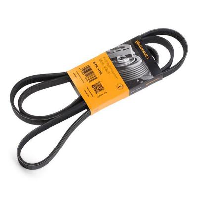 CONTITECH Continental  6PK1980 Courroie trap&eacute;zo&iuml;dale &agrave; nervures