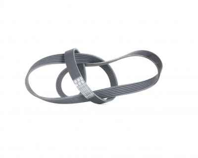 CONTITECH Continental  6PK1310 Courroie trap&eacute;zo&iuml;dale &agrave; nervures