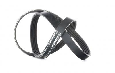 CONTITECH Courroie trap&eacute;zo&iuml;dale &agrave; nervures 5PK1121 EXTRA 